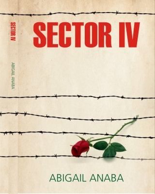 Sector IV