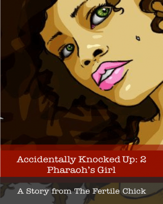 Accidentally Knocked Up