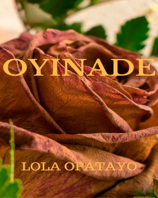 96c4bc4bac088c0a2606e184853d3071